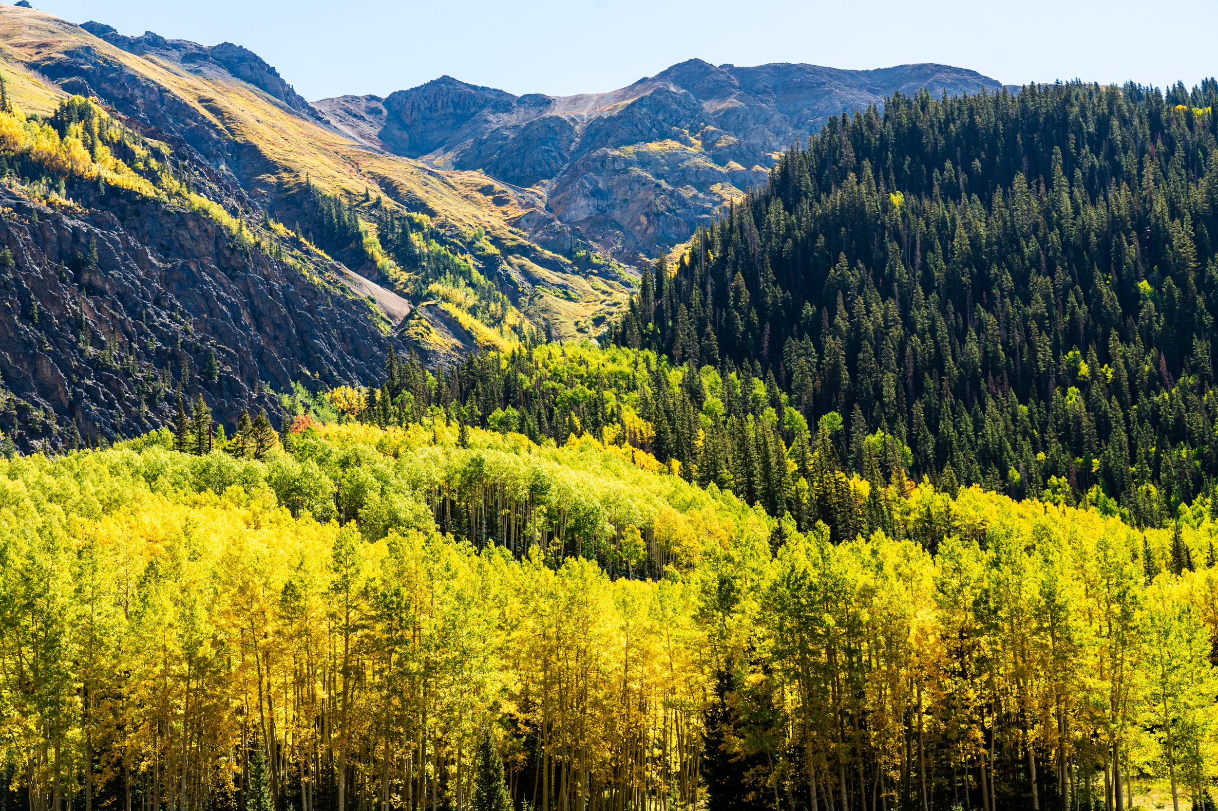 USA 2024 5 Sterne 23